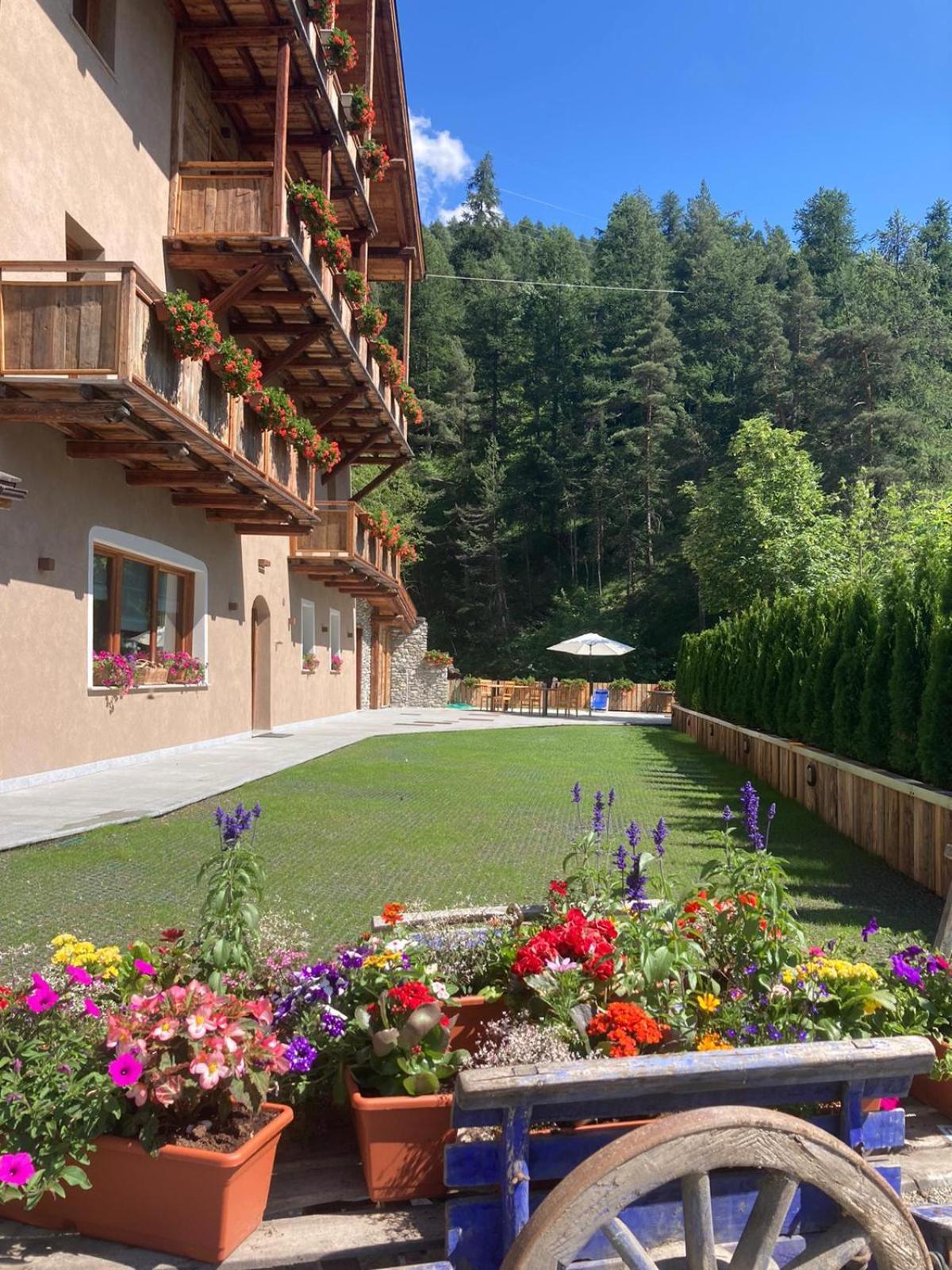 Grande Cote Room And Breakfast Cesana Torinese Luaran gambar